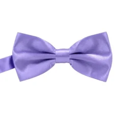 Men's Ties Bow Tie Neckties Stripes and Plaid Formal Evening Wedding Party Festival