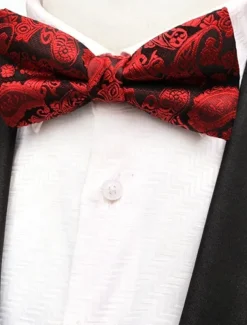 Men's Ties Bow Tie Work Wedding Gentleman Jacquard