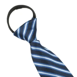 Men's Ties Neckties Stripes and Plaid Formal Evening Festival