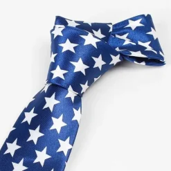Men's Ties Neckties Stripes and Plaid Formal Evening Festival