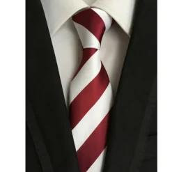 Men's Ties Neckties Work Wedding Gentleman Formal Style Modern Style Fashion Striped Formal Business Formal Evening