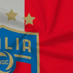 Men's Veterans Patriotic Zip Polo Shirts Golf Shirt Short Sleeve Polo Shirts Collared Shirts Casual Streetwear Vacation Wear Party Outfits 3D Print Quarter Zip Polo White Army Green Red