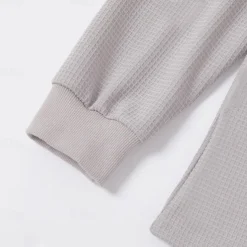 Men's Waffle Polo Shirts Home Standing Collar Quarter Zip Long Sleeve Basic Solid Color Knitted Spring & Fall Standard Fit Light Blue Black White Gray Waffle Polo Shirts