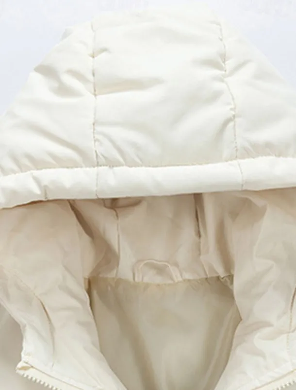 Men's Winter Coat Puffer Jacket Padded Jacket Pocket Polyster Daily Wear Date Vacation Regular Fashion Casual Comfortable Thermal Warm Fall & Winter Solid / Plain Color Dark Grey Black Red Blue