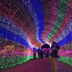 50M/100M LED Fairy Lights Outdoor String Lights Garland Christmas Tree, 400/800 , IP65 Waterproof for Garden Yard, Wedding Party Holiday Landscape Decoration, Blue/Colorful, DC31V EU/US/AU/UK Plug