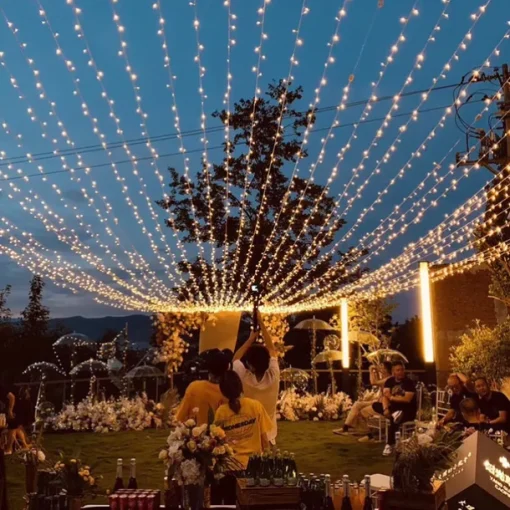 50M/100M LED Fairy Lights Outdoor String Lights Garland Christmas Tree, 400/800 , IP65 Waterproof for Garden Yard, Wedding Party Holiday Landscape Decoration, Blue/Colorful, DC31V EU/US/AU/UK Plug