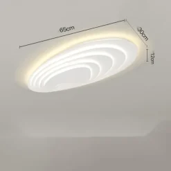 Modern Ceiling Light Dimmable with Remote Contral 56cm Flush Mount Ceiling Lamp Acrylic Lampshade Chandelier Bedroom Living Room