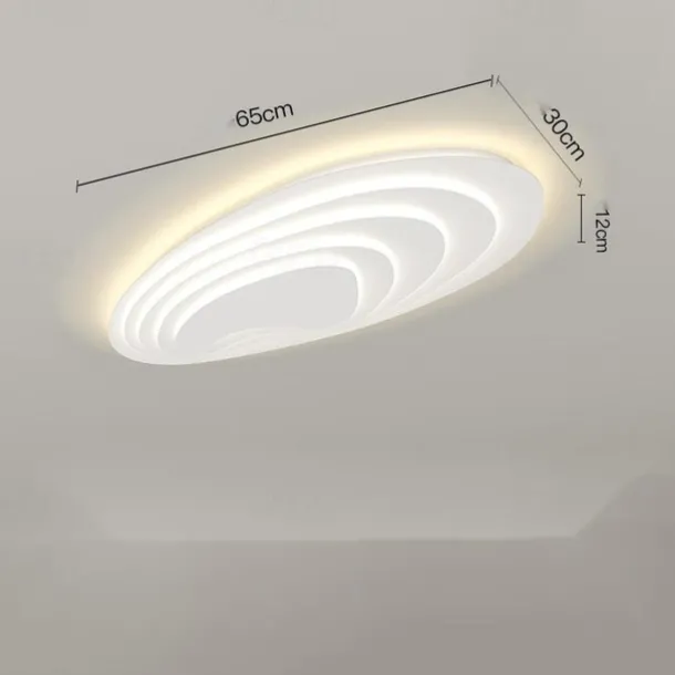 Modern Ceiling Light Dimmable with Remote Contral 56cm Flush Mount Ceiling Lamp Acrylic Lampshade Chandelier Bedroom Living Room