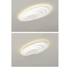 Modern Ceiling Light Dimmable with Remote Contral 56cm Flush Mount Ceiling Lamp Acrylic Lampshade Chandelier Bedroom Living Room