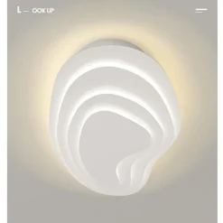 Modern Ceiling Light Dimmable with Remote Contral 56cm Flush Mount Ceiling Lamp Acrylic Lampshade Chandelier Bedroom Living Room