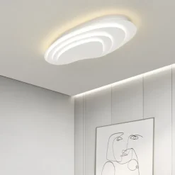 Modern Ceiling Light Dimmable with Remote Contral 56cm Flush Mount Ceiling Lamp Acrylic Lampshade Chandelier Bedroom Living Room