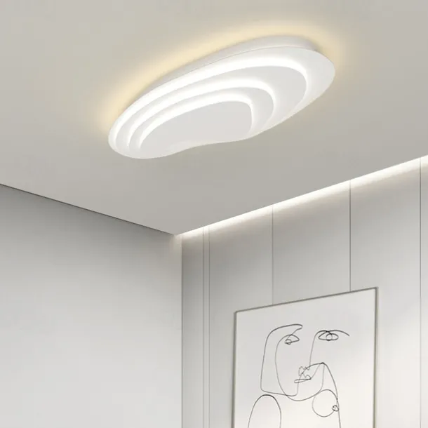 Modern Ceiling Light Dimmable with Remote Contral 56cm Flush Mount Ceiling Lamp Acrylic Lampshade Chandelier Bedroom Living Room