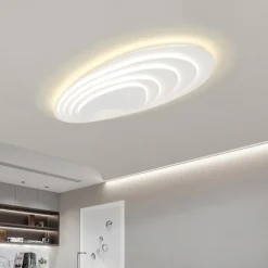 Modern Ceiling Light Dimmable with Remote Contral 56cm Flush Mount Ceiling Lamp Acrylic Lampshade Chandelier Bedroom Living Room