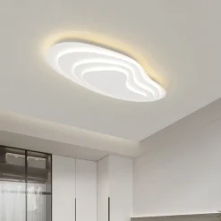 Modern Ceiling Light Dimmable with Remote Contral 56cm Flush Mount Ceiling Lamp Acrylic Lampshade Chandelier Bedroom Living Room