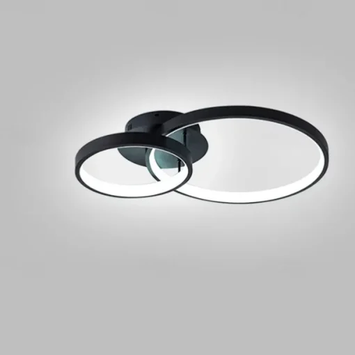Modern LED Ceiling Light 2-Ring Flush Mount Contemporary Chandelier Ceiling Lamp 3000/6000K 110-240V
