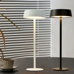 Modern Metal Desk Lamp with USB Charging & Touch Dimming, LED Table Light for Bars Living Rooms Coffee Shops 1PC