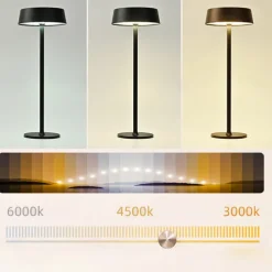 Modern Metal Desk Lamp with USB Charging & Touch Dimming, LED Table Light for Bars Living Rooms Coffee Shops 1PC
