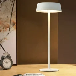 Modern Metal Desk Lamp with USB Charging & Touch Dimming, LED Table Light for Bars Living Rooms Coffee Shops 1PC