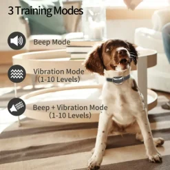 No Shock Dog Collar Vibration Collar for Small Medium Dogs Vibrating Dog Collar 1600Ft Remote Control IP67 Waterproof
