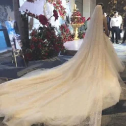 One-tier Luxury Wedding Veil Cathedral Veils with Solid Tulle