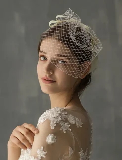 One-tier Stylish Wedding Veil Blusher Veils / Birdcage Veils with Ribbon Bow Tulle