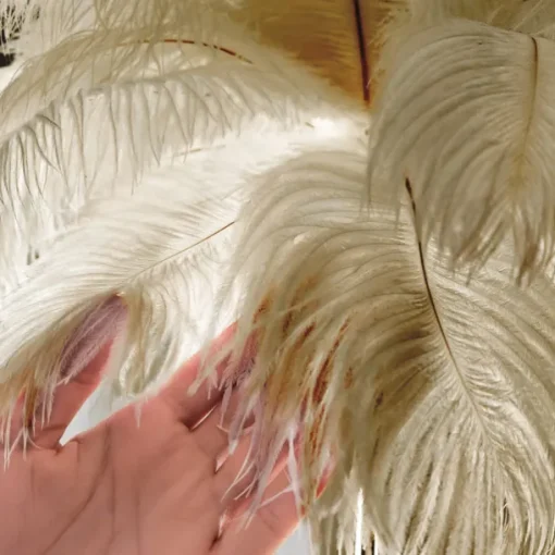 Ostrich Feather Bedside Lamp Modern Table Lamp for Living Room Bedroom Bar Restaurant Warm White/White 110-240V