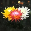 Outdoor Solar Garden Stake Lights Solar Chrysanthemum Flower Lights Waterproof LED Solar Decorative Powered Lights For Garden Pathway