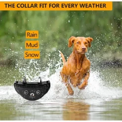 Pack of 3 Dog Bark Collar Barking Training Collar Waterproof & Rechargeable Automatic Shock Control Prong Collar with Beep & Shock for Small Medium Large Dogs