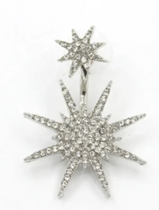 1PC Women's Earrings Chic & Modern Party Star Earring / Wedding / Gold / Silver / Fall / Winter