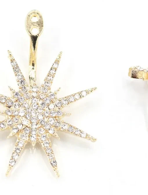1PC Women's Earrings Chic & Modern Party Star Earring / Wedding / Gold / Silver / Fall / Winter