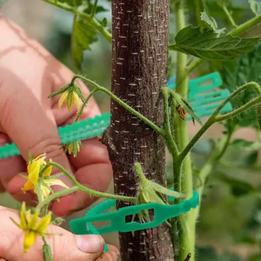 100Pcs Adjustable Plant Ties Garden Plant Twist Ties Planting Supples Garden Tools