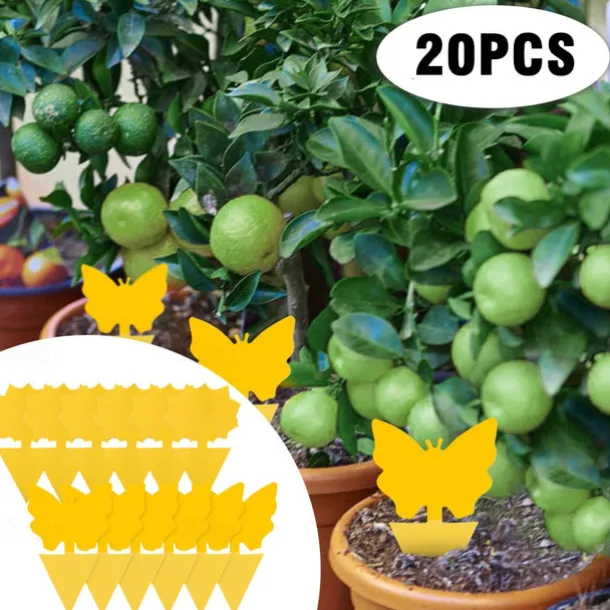 20Pcs Fruit Fly Traps Fungus Gnat Traps Yellow Sticky Bug Traps Non-Toxic and Odorless for Indoor Outdoor Use Protect The Plant.
