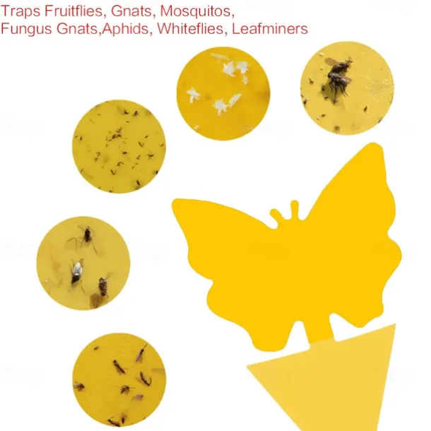 20Pcs Fruit Fly Traps Fungus Gnat Traps Yellow Sticky Bug Traps Non-Toxic and Odorless for Indoor Outdoor Use Protect The Plant.