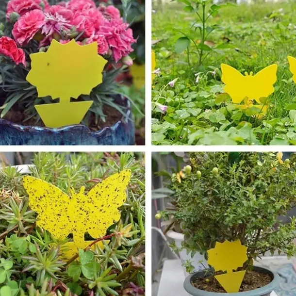 20Pcs Fruit Fly Traps Fungus Gnat Traps Yellow Sticky Bug Traps Non-Toxic and Odorless for Indoor Outdoor Use Protect The Plant.