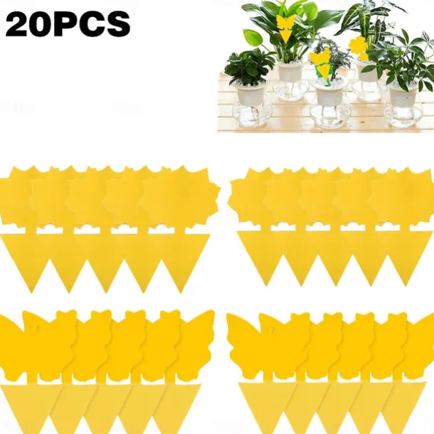 20Pcs Fruit Fly Traps Fungus Gnat Traps Yellow Sticky Bug Traps Non-Toxic and Odorless for Indoor Outdoor Use Protect The Plant.