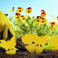 20Pcs Fruit Fly Traps Fungus Gnat Traps Yellow Sticky Bug Traps Non-Toxic and Odorless for Indoor Outdoor Use Protect The Plant.