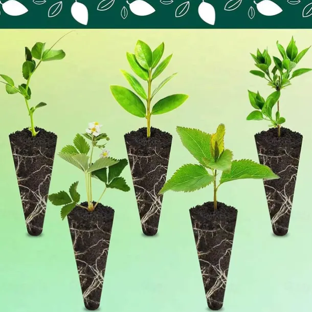 10PCS Grow Sponges, Seed Pod Kit Root Growth Sponges Replacement Seed Pods Compatible with Hydroponics Sponges Seed Starter Sponges Refill Pods for Hydroponic Growing System Indoor Garden