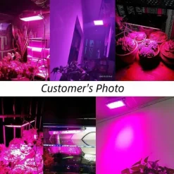 1/2pcs LED Plant Grow Lights Full Spectrum Bulb Phytolamp for Plants Light Hydroponic Lamp Greenhouse Flower Seed Grow Tent