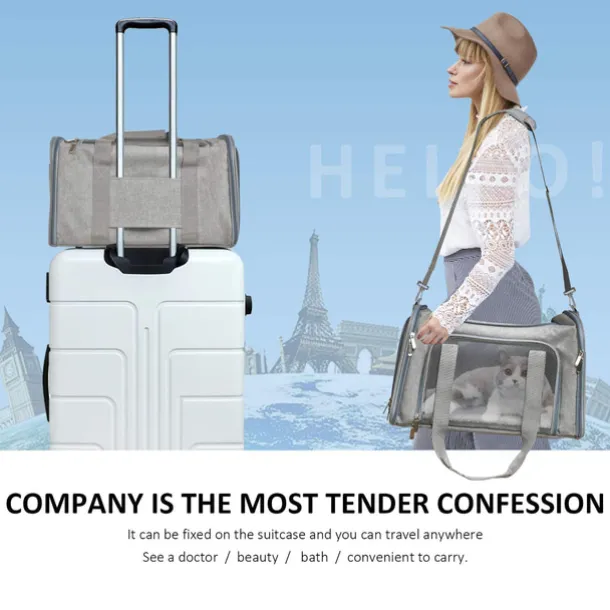 Pet Carrier Airline Approved Pet Carrier Dog Carriers for Small Dogs, Cat Carriers for Medium Cats Small Cats, Small Pet Carrier Small Dog Carrier Airline Approved Dog Cat Pet Travel (50cm*34cm*34CM)