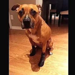 Pet Dog Socks Dog Boots Shoes Puppy Outdoor Indoor Waterproof Nonslip Sports Socks Shoes Boots For Dog Rubber Sole Paw Protection For Small Medium Large Pet Dog (#3, Black)