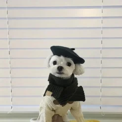 Pet Mini Beret Teddy Dog Painter Wool Hat Cat Pet Photo Headwear
