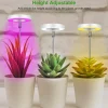 Plant Light Angel Ring Fleshy Fill light USB Colored Full Spectrum LED Bonsai Indoor Timed Dimming Growth Light is Suitable For Indoor Plants Potted Meat Fish Tank Plants 1PC