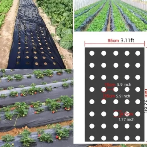 Plastic Film With Planting Holes, Garden Weed Control Barrier Film Mulching Breathable Gardening Farming Landscape Sheeting For Moisture Temperature Maintaining
