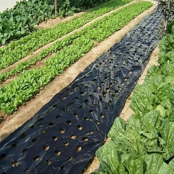 Plastic Film With Planting Holes, Garden Weed Control Barrier Film Mulching Breathable Gardening Farming Landscape Sheeting For Moisture Temperature Maintaining