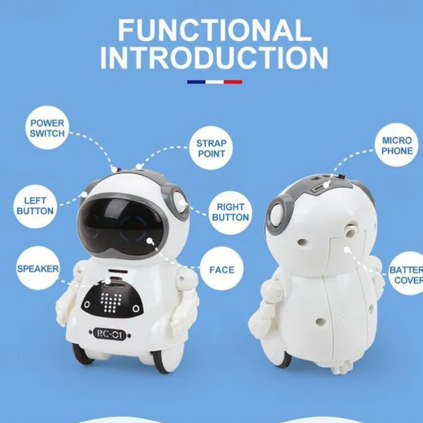 Pocket RC Robot Talking Interactive Dialogue Voice Recognition Record Singing Dancing Telling Story Mini RC Robot Toys Gift