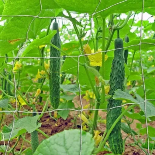 Polyester Pergola For Climbing Plants,5*15Ft Reusable DIY Net For Planting, Garden Supplies, Plant Support Structures