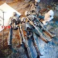 Posable Halloween Skeleton- Full Body Halloween Skeleton with Movable Joints for Haunted House Props Decorations (1pc)