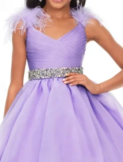 Princess Sweep / Brush Train Flower Girl Dress Quinceanera Juniors Cute Prom Dress Organza with Feathers / Fur Tiered Plisse Fit 3-16 Years dress to impress