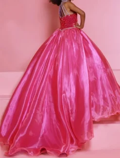 Princess Sweep / Brush Train Flower Girl Dress Wedding Party Girls Cute Prom Dress Organza with Solid Color Mini Bridal Fit 3-16 Years dress to impress