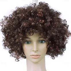 Rainbow Clown Wig Costume Accessories Short Colorful Afro Hair Wig for Kid Women Men Adults 70s 80s Carnival Parties Carnivals Pretend Play